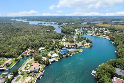 Tiny photo for 4204 S Purslane Drive, Homosassa, FL 34448 (MLS # OM708165)