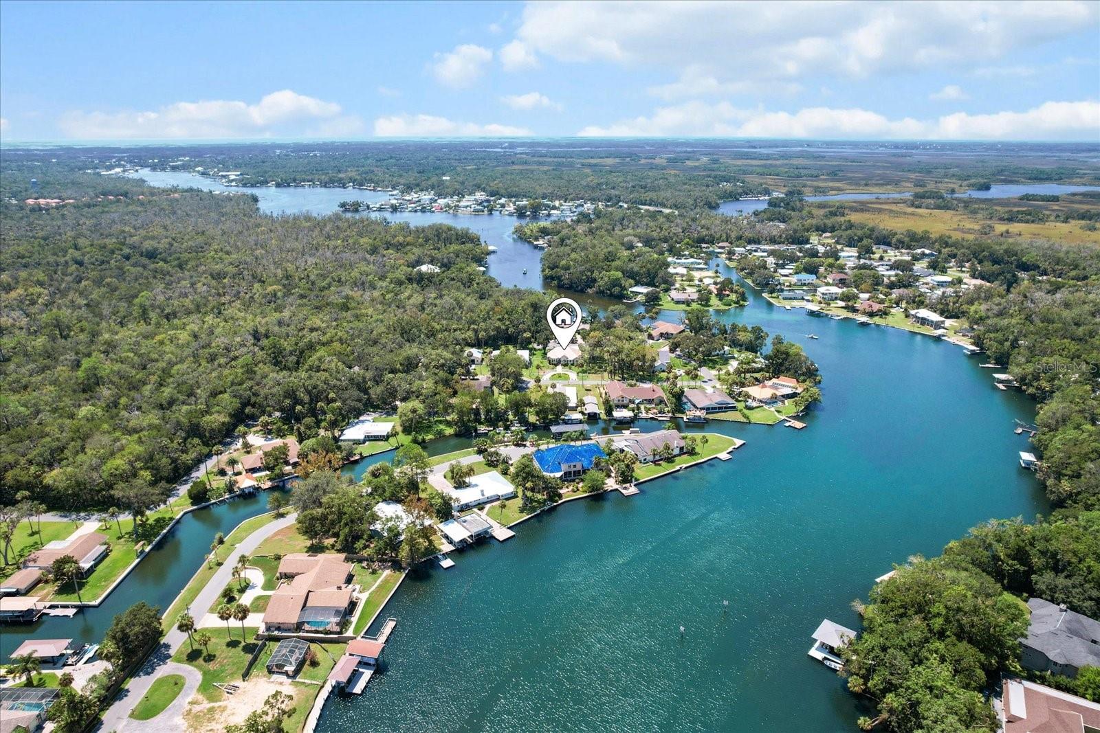 NEVER FLOODED! Custom-built in 2006, this beautiful residence is located in Bluewater Estates, just minutes from Homosassa’s National Wildlife Park and the main springs of the Homosassa River. This 3 bedroom, 3 bath home with den offers over 2,100 square feet of living space and more than 2,900 square feet under roof. The open floor plan features cathedral ceilings, Shaw hardwood floors, and ceramic tile throughout with lush carpeting in the bedrooms. The spacious kitchen is designed for both cooking and entertaining with granite countertops, stainless steel appliances, and custom wood cabinetry. The owner’s suite includes dual walk-in closets, dual sinks, a jetted garden tub, separate shower, and a mini-split A/C for added comfort. A whole-house generator powered by an owned propane tank provides peace of mind, while the newer metal roof ( 2022) adds lasting value. Additional highlights include a circular brick paver driveway, rear-entry garage, sprinkler system, alarm system, in-wall pest control, and decorative fenced dog runs both front and rear. With its prime location, thoughtful upgrades, and quality finishes, this home is a pleasure to show