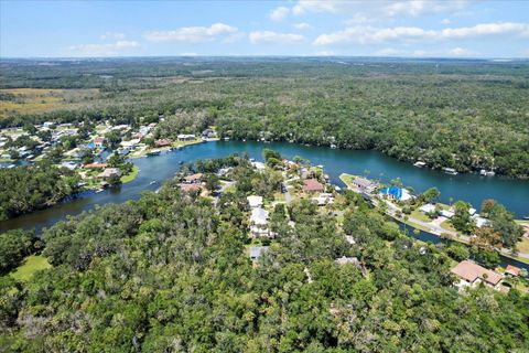 Tiny photo for 4204 S Purslane Drive, Homosassa, FL 34448 (MLS # OM708165)