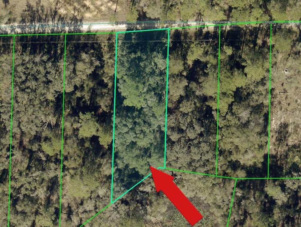 Photo of N Canal Street, Webster, FL 33597 (MLS # A4706797)