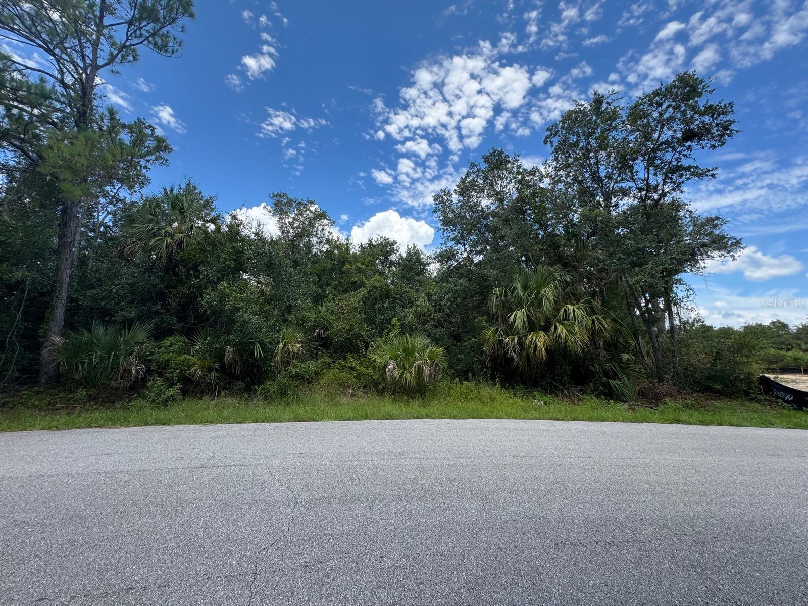 ** STUNNING CANALFRONT PROPERTY WITH TRANQUIL SURROUNDINGS - WALKING DISTANCE TO ATWATER PARK!! ** This exceptional piece of vacant land offers an extraordinary opportunity to build a dream home in a prime location. The property is perfectly situated for those seeking a serene lifestyle while still having easy access to urban conveniences. ** HOME FEATURES: * CANAL VIEW * GREAT LOCATION * CLOSE TO SCHOOLS AND I-75 * ** COMMUNITY INFORMATION: Nestled in a vibrant community with no deed restrictions, this property provides the perfect blend of privacy and connectivity. Enjoy the scenic preserve views and the convenience of being just minutes away from essential amenities, schools, and major highways. Embrace the opportunity to create a personal oasis in a neighborhood that values tranquility and accessibility.