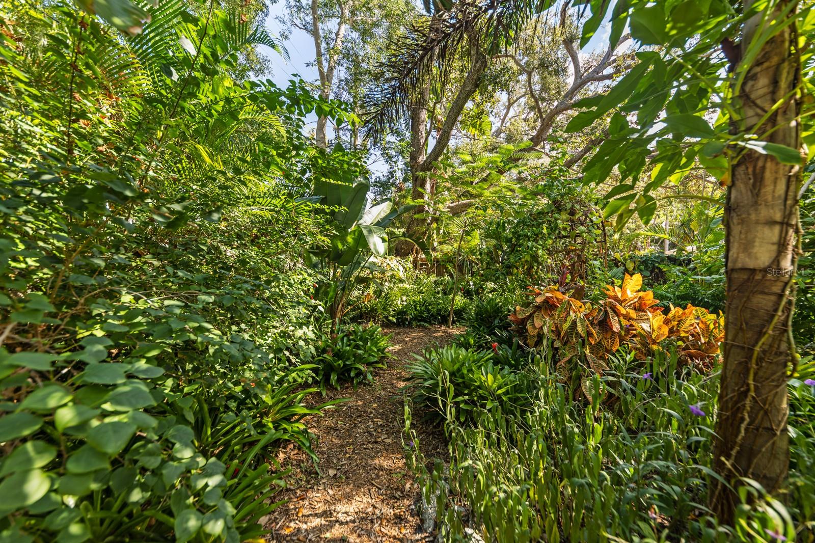 MACKLES - Residential Lease