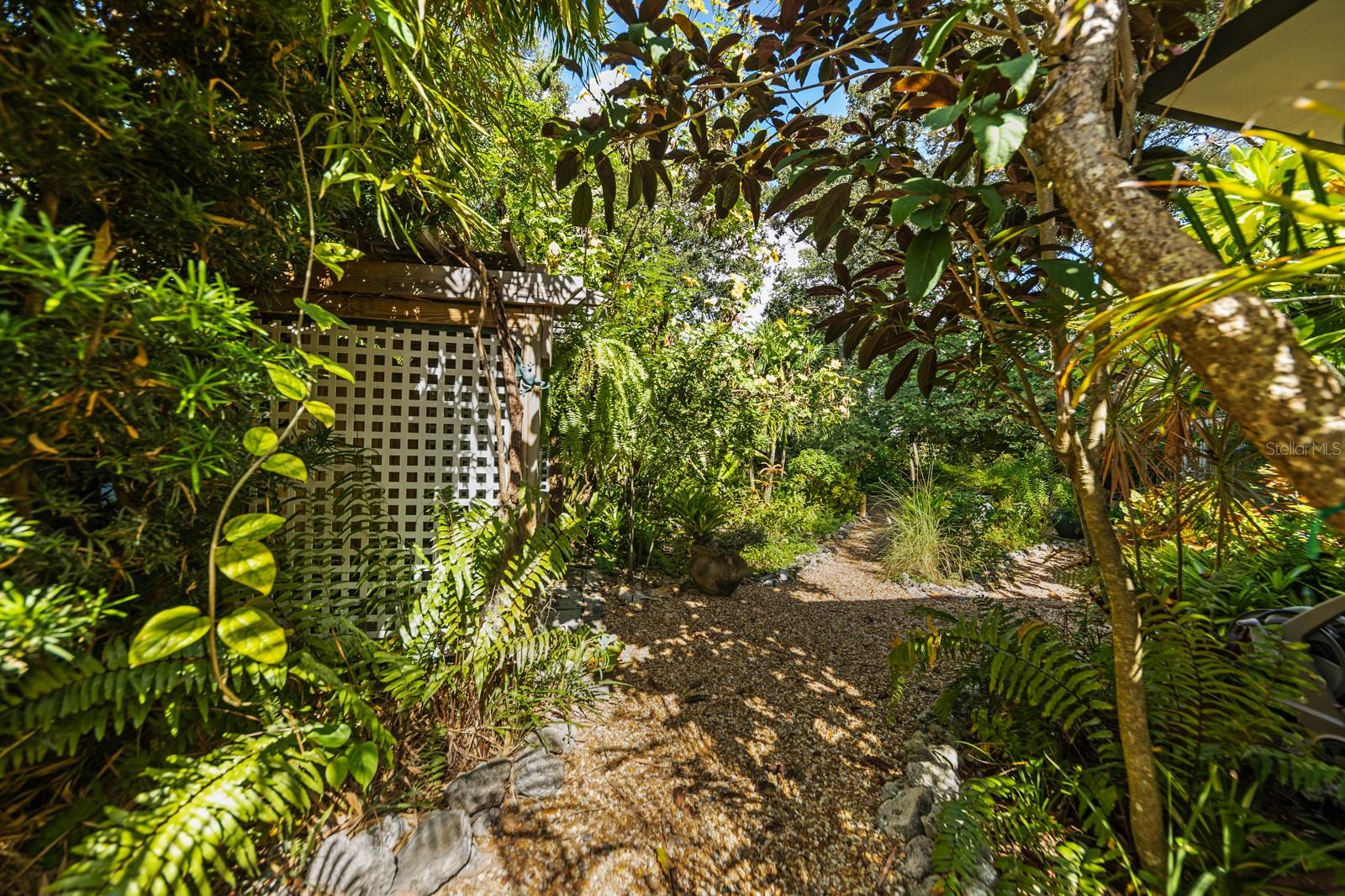 MACKLES - Residential Lease