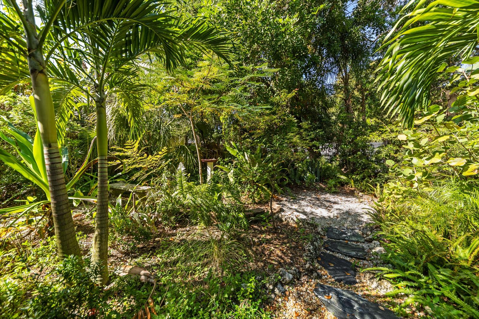 MACKLES - Residential Lease