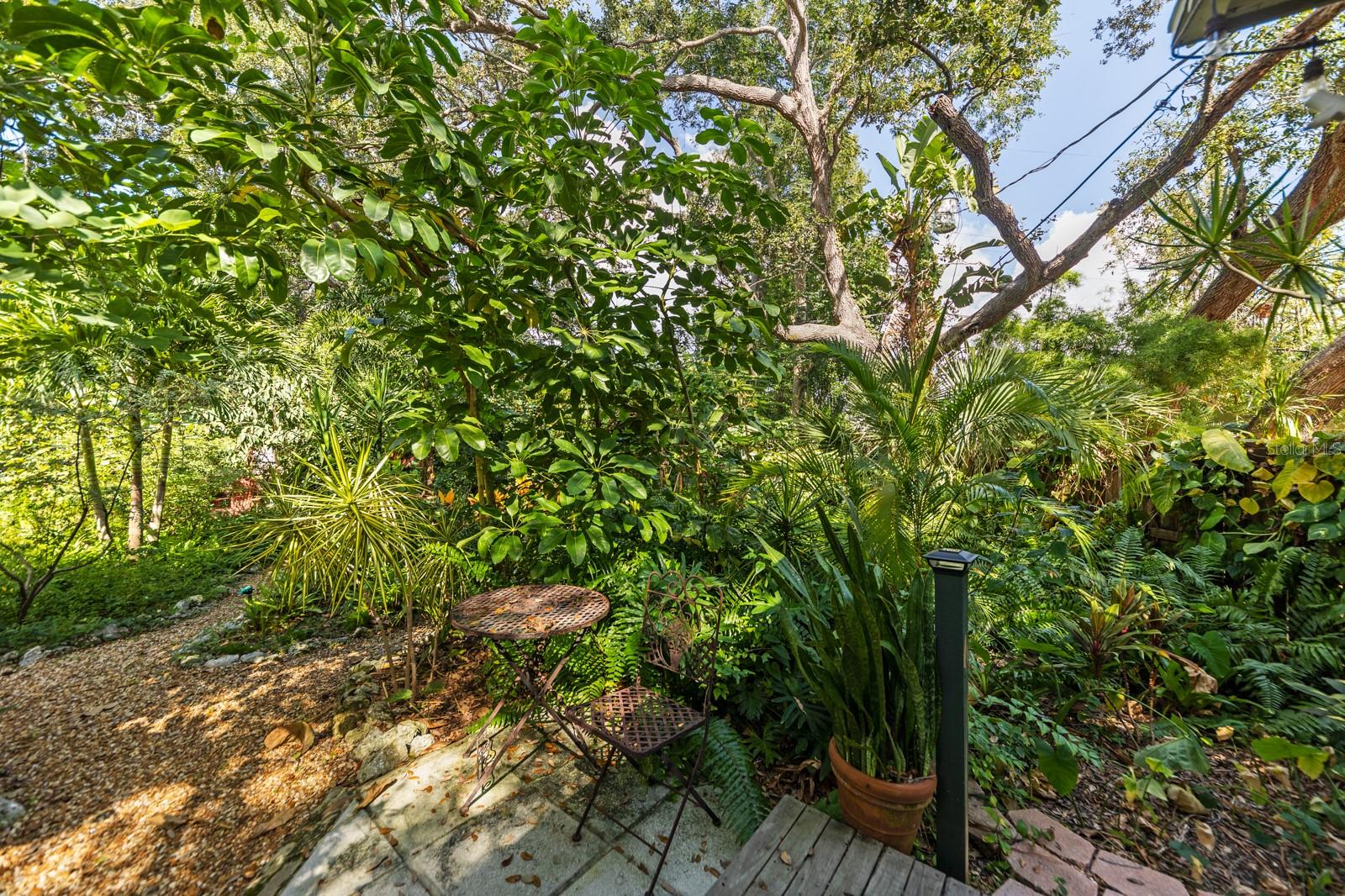 MACKLES - Residential Lease