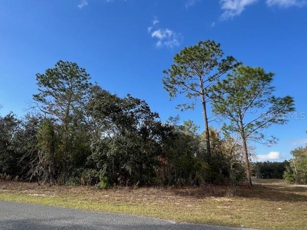 Photo of 125 W Ruska Place, Citrus Springs, FL 34434 (MLS # O6368838)