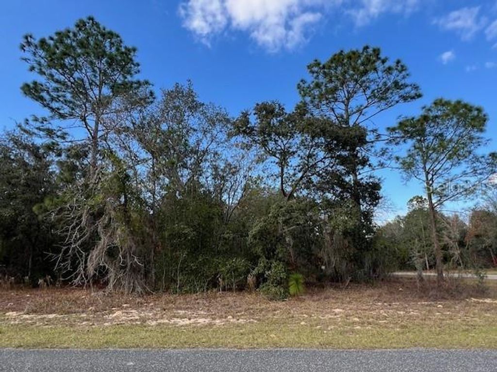 Photo of 125 W Ruska Place, Citrus Springs, FL 34434 (MLS # O6368838)