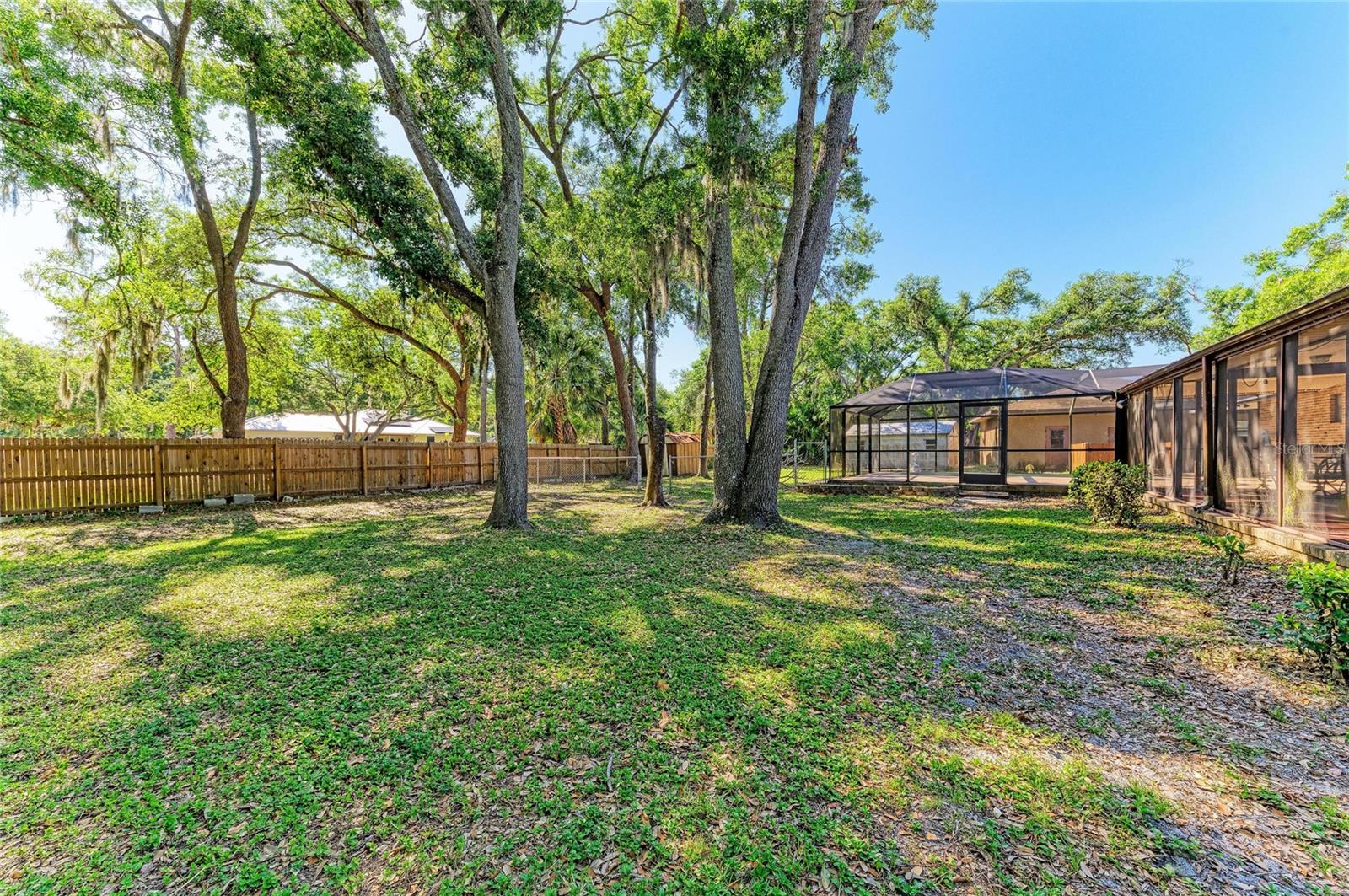 LOST FOREST - Residential