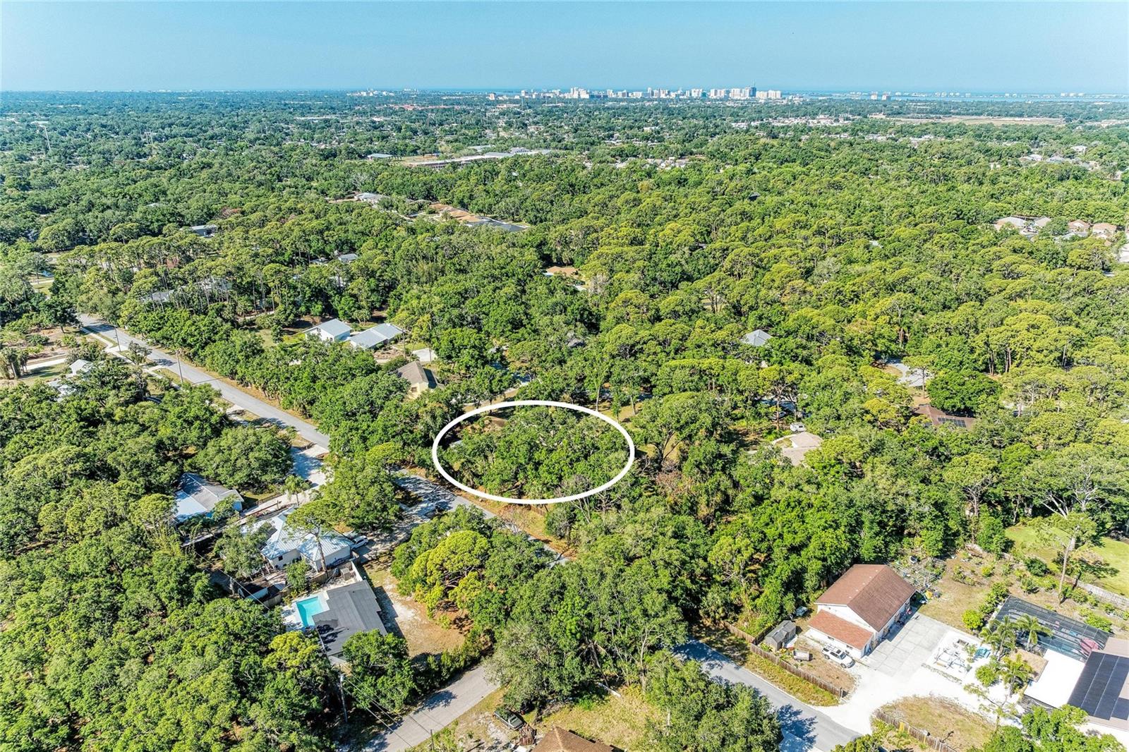 LOST FOREST - Residential