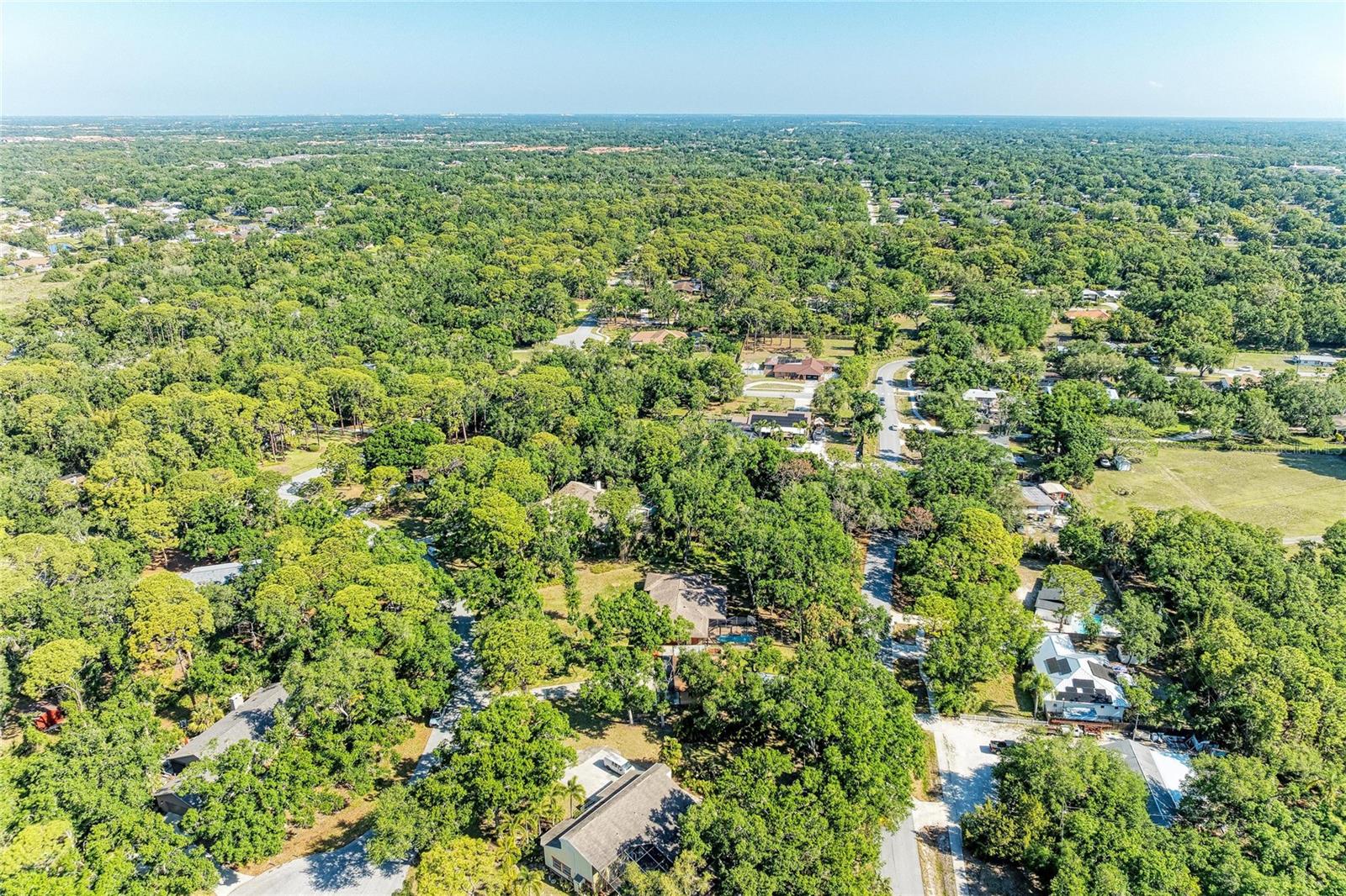 LOST FOREST - Residential