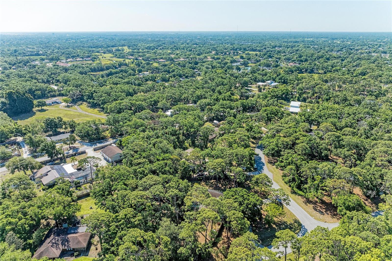 LOST FOREST - Residential