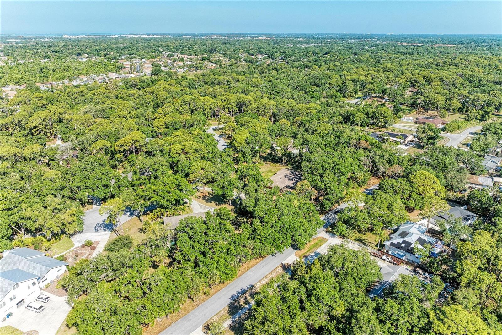 LOST FOREST - Residential