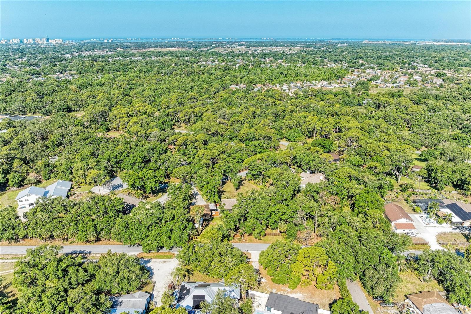 LOST FOREST - Residential