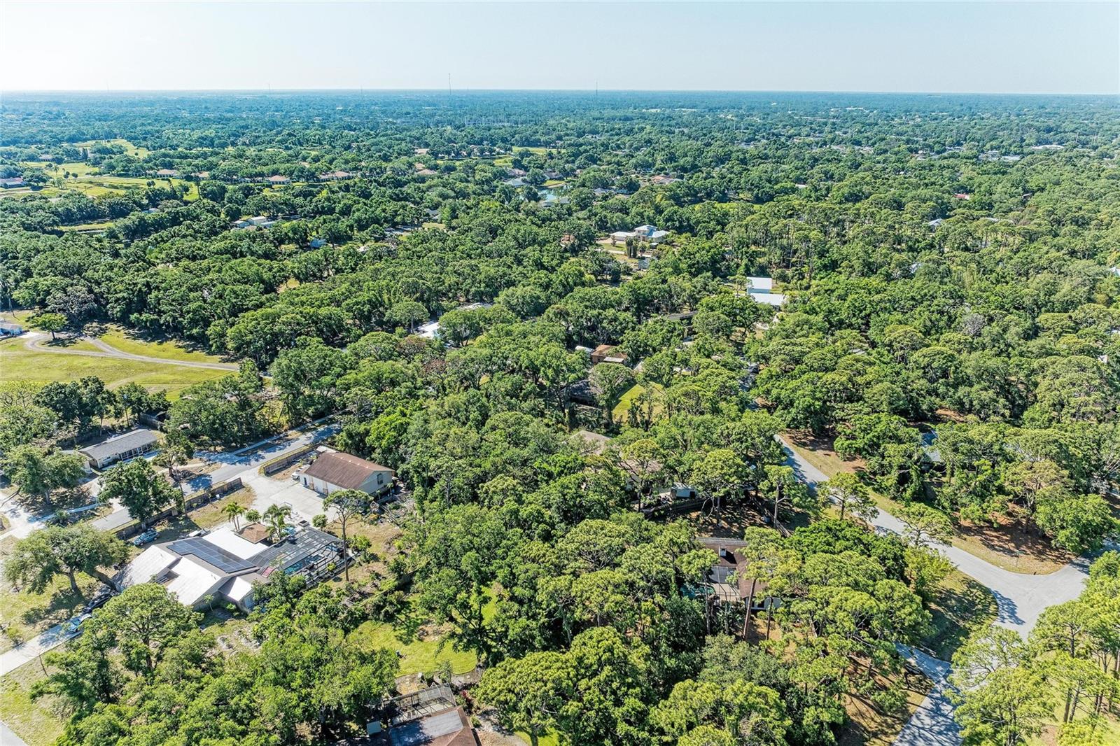 LOST FOREST - Residential