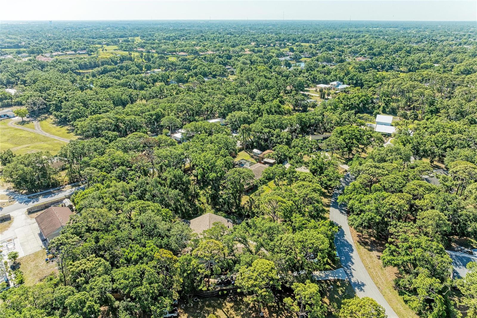 LOST FOREST - Residential