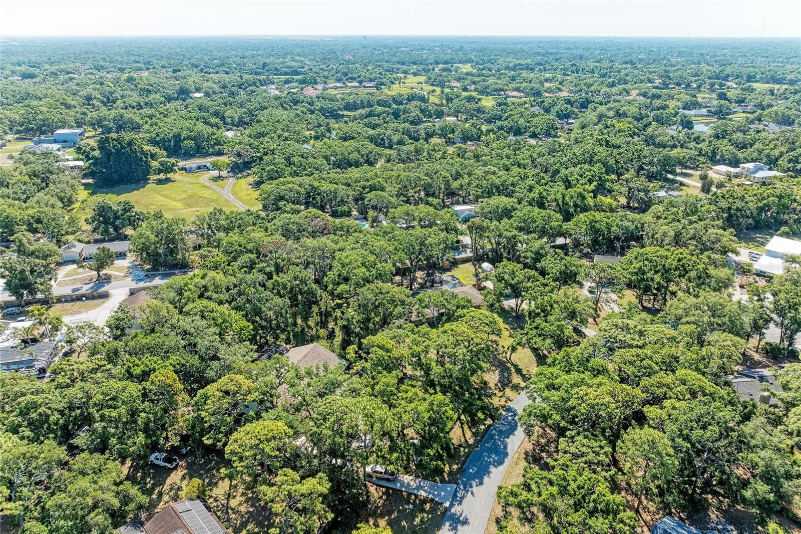 LOST FOREST - Residential