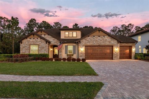 Photo of 29256 Picana Lane, Wesley Chapel, FL 33543 (MLS # TB8485082)