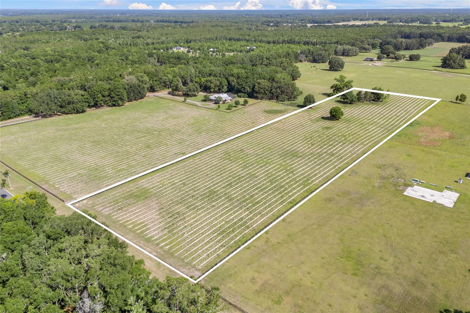 Discover the perfect blend of natural beauty and opportunity with this 8.67-acre vacant land parcel, planted in thriving pine trees and dotted with small oak trees toward the back for added charm and character. Fully fenced and zoned for agriculture, this property is ideal for those seeking space to build, farm, or simply enjoy the peace and quiet of country living.
Set in a peaceful rural landscape yet only a short drive from the renowned rivers and natural springs of North Florida, this property offers the perfect balance of seclusion and convenience. With paved road access and a prime location near High Springs, Alachua, and Gainesville, it’s ideal for those seeking tranquility without sacrificing proximity to upscale amenities and top-rated schools.
Whether you’re looking to create a private homestead, establish a hobby farm, or invest in future growth, this versatile land is a rare find. Bring your vision and make it your own!