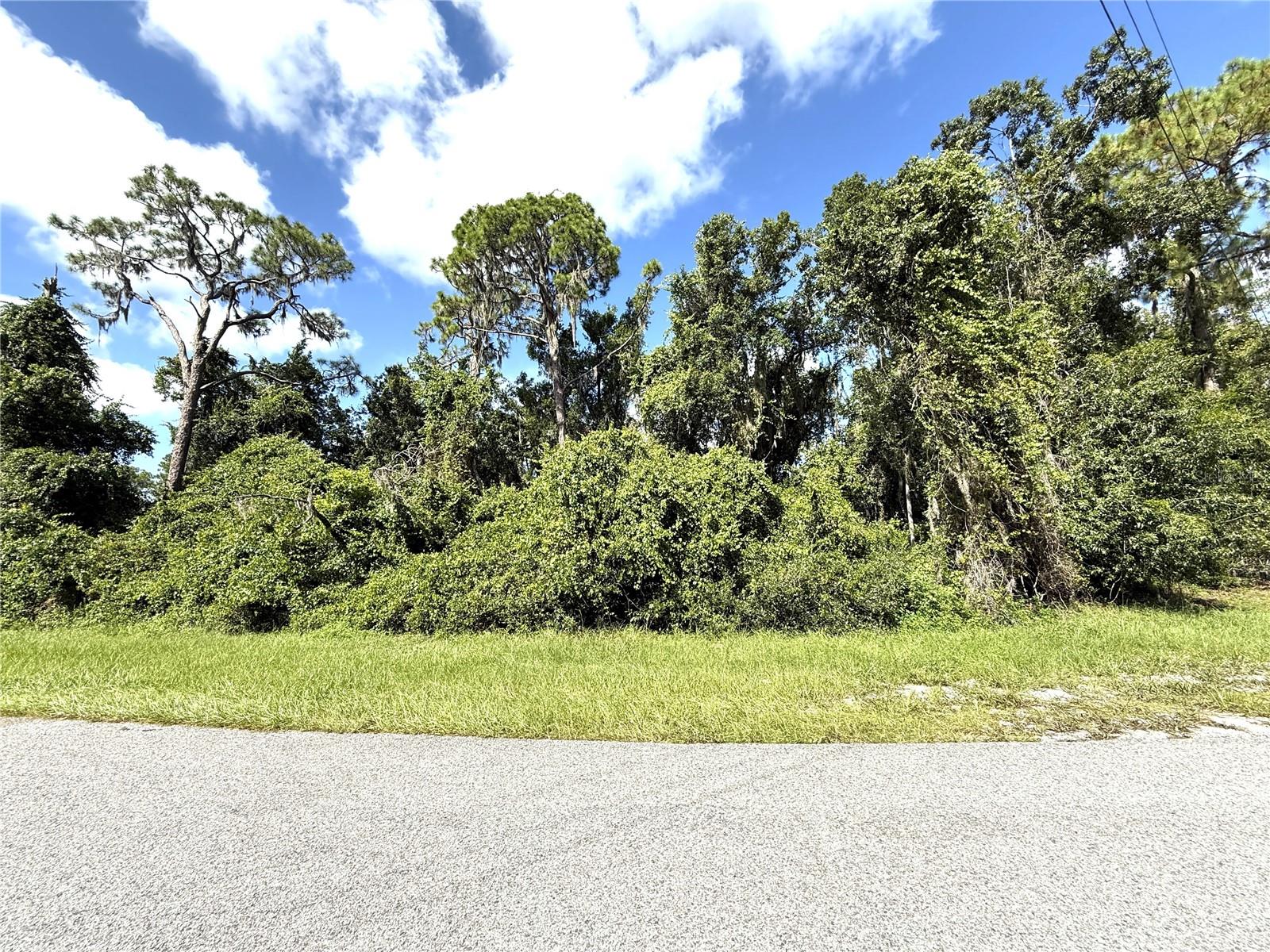LAKE REEDY CREEK FRONT LOT! A TAD OVER 1 ACRE LOCATED ON PRIVATE, PAVED ROADS IN A GATED COMMUNITY WITH LAKE FRONT ACCESS TO LAKE REEDY! THE LOT IS WOODED WITH MEANDERING CREEK FRONTAGE! YOU CAN FISH FROM YOUR OWN LOT! THIS COMMUNITY HAS MUCH WILDLIFE ROAMING ABOUT. YOU MIGHT SEE A DEER OR A FLORIDA PANTHER! SOME OF THE LOTS BACK UP TO ARBUCKLE STATE FOREST! A SHORT DISTANCE AWAY THERE IS A COUNTY LANDING & BOAT LAUNCH FOR ARBUKCLE LAKE AND JUST AROUND REEDY LAKE THAT IS ANOTHER COUNTY BOAT LAUNCH! MANY LAKES IN THE AREA AS WELL AS STATE PARKS FOR HIKING AND ENJOYING WILDLIFE!