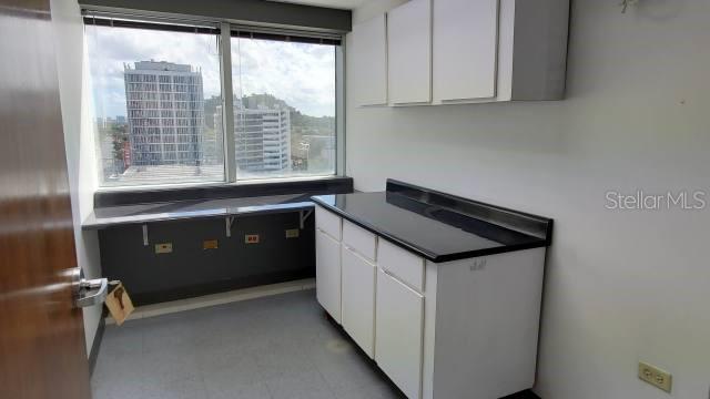 TRIPLE S PLAZA - Commercial Lease