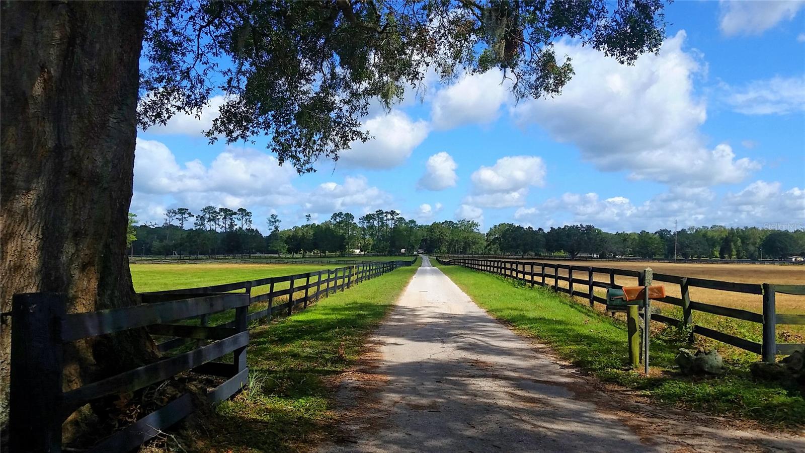 Reach over 34 million customers within a six hour drive of this location in the heart of Central Florida's hottest industrial/distribution corridor. These 119+/- acres near I-75/Hwy 326 interchange offer both heavy power and rail services within an Opportunity Zone. Robust labor market of 287,330 drawing from three county area. Perfect location for e-commerce, distribution or manufacturing. Current access to I-75 via 63rd Street flyover. New $76.2 million I-75 interchange funded and scheduled to begin construction Q4 2025. Corporate neighbors include Amazon, FedEx, Autozone, Chewy, and Green Thumb Industries. Survey, Phase I environmental, geo tech testing, threatened and endangered studies complete and clear.
Excellent Workforce
Opportunity Zone
Visible From I-75
Heavy Power and Rail Available
Ideal Location for E-Commerce, Distribution or Manufacturing