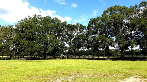 Tiny photo for 3570 NW 63rd Street, Ocala, FL 34475 (MLS # OM651159)