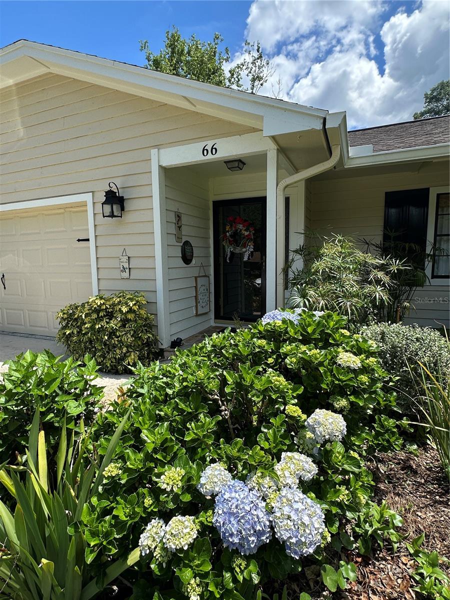66 ELMWOOD TRAIL