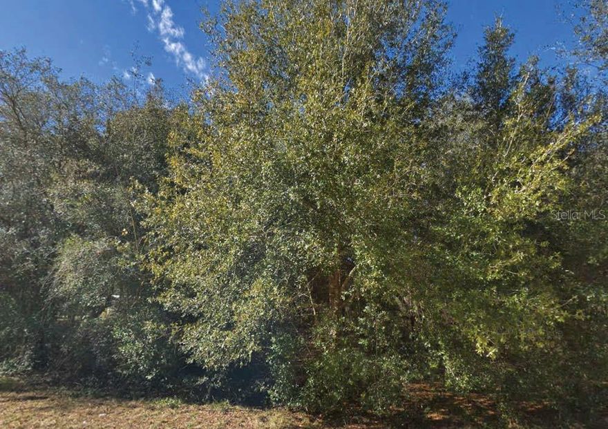 Nestled in a tranquil, lake-rich neighborhood, this residential lot on Malta Avenue offers the perfect setting for building a custom home or investment property. The seller has additional parcels in both Putnam and Washington Counties and is open to discounted pricing for multiple lot purchases. All information is deemed reliable but should be independently verified. Drive by and envision the possibilities.