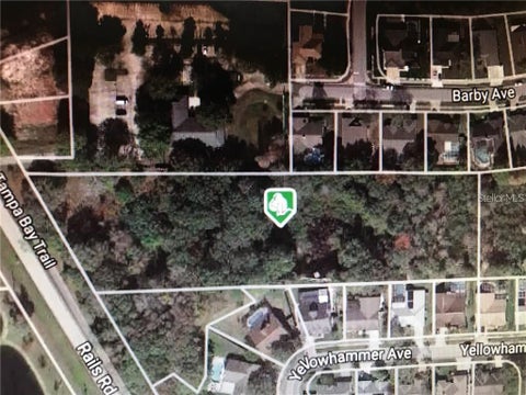 Photo of 15025 Rails Road, Odessa, FL 33556 (MLS # TB8529913)