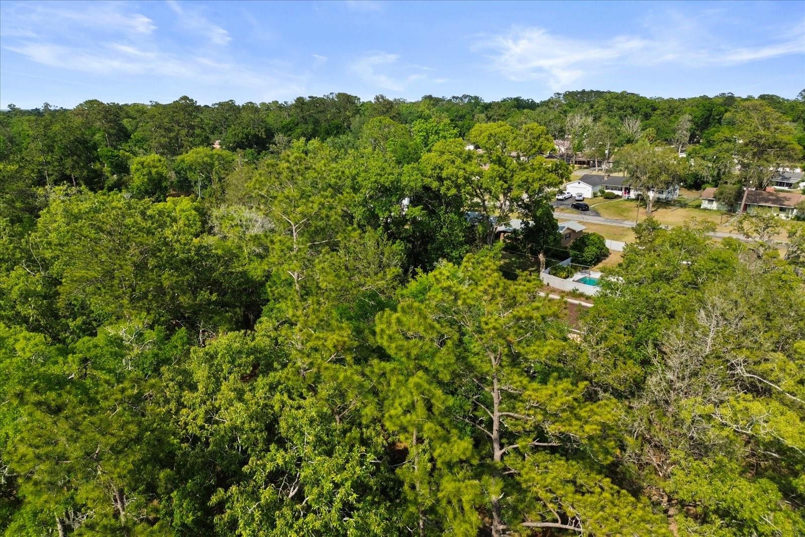 EASTWOOD PARK ESTATE - Residential