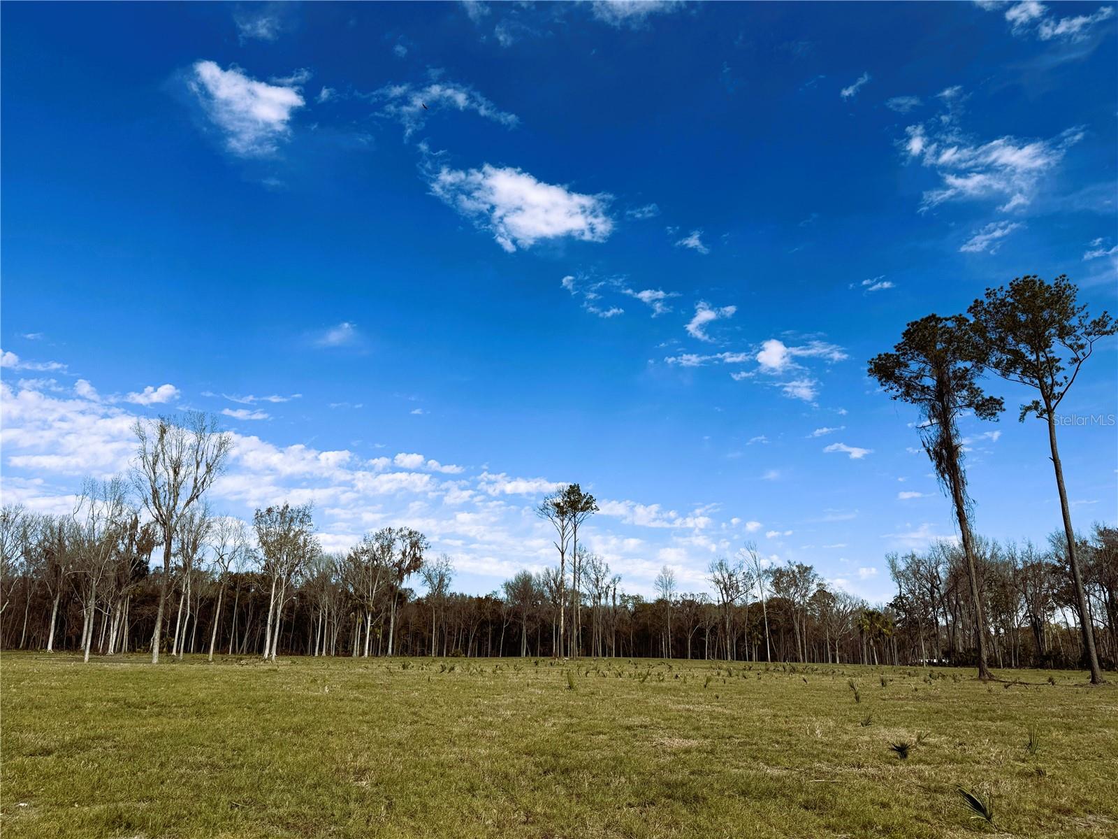 DUNGARVEN RIDGE - Land