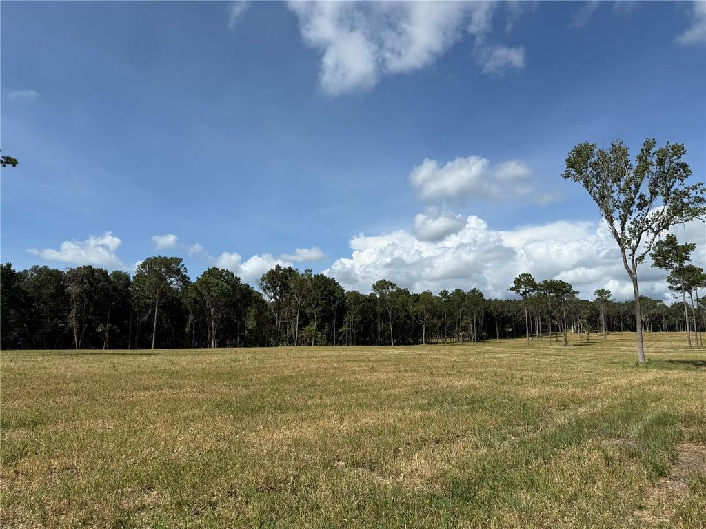 Photo of 3 NW 193rd St, Micanopy, FL 32667 (MLS # OM717568)