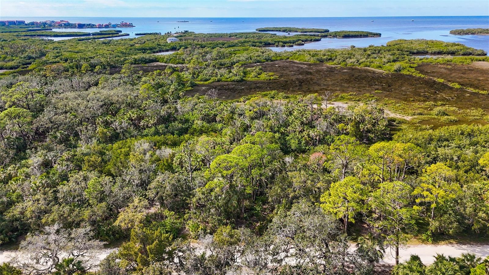 PORT RICHEY LAND CO - Land