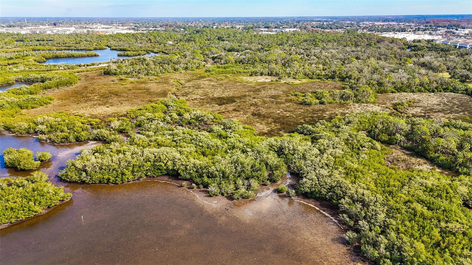 PORT RICHEY LAND CO - Land