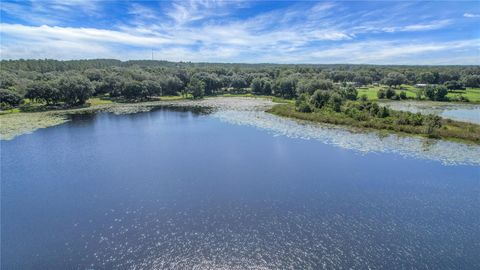 Tiny photo for 16982 SE Highway 42, Weirsdale, FL 32195 (MLS # G5099886)