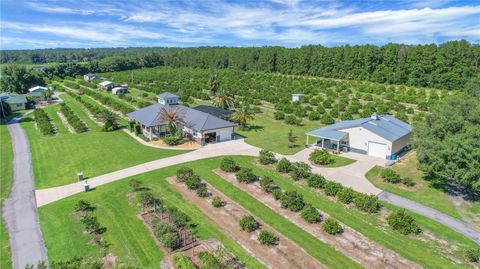 Tiny photo for 16982 SE Highway 42, Weirsdale, FL 32195 (MLS # G5099886)
