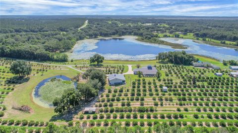 Tiny photo for 16982 SE Highway 42, Weirsdale, FL 32195 (MLS # G5099886)