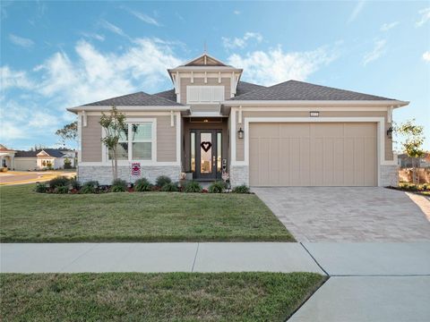 A home in MOUNT DORA