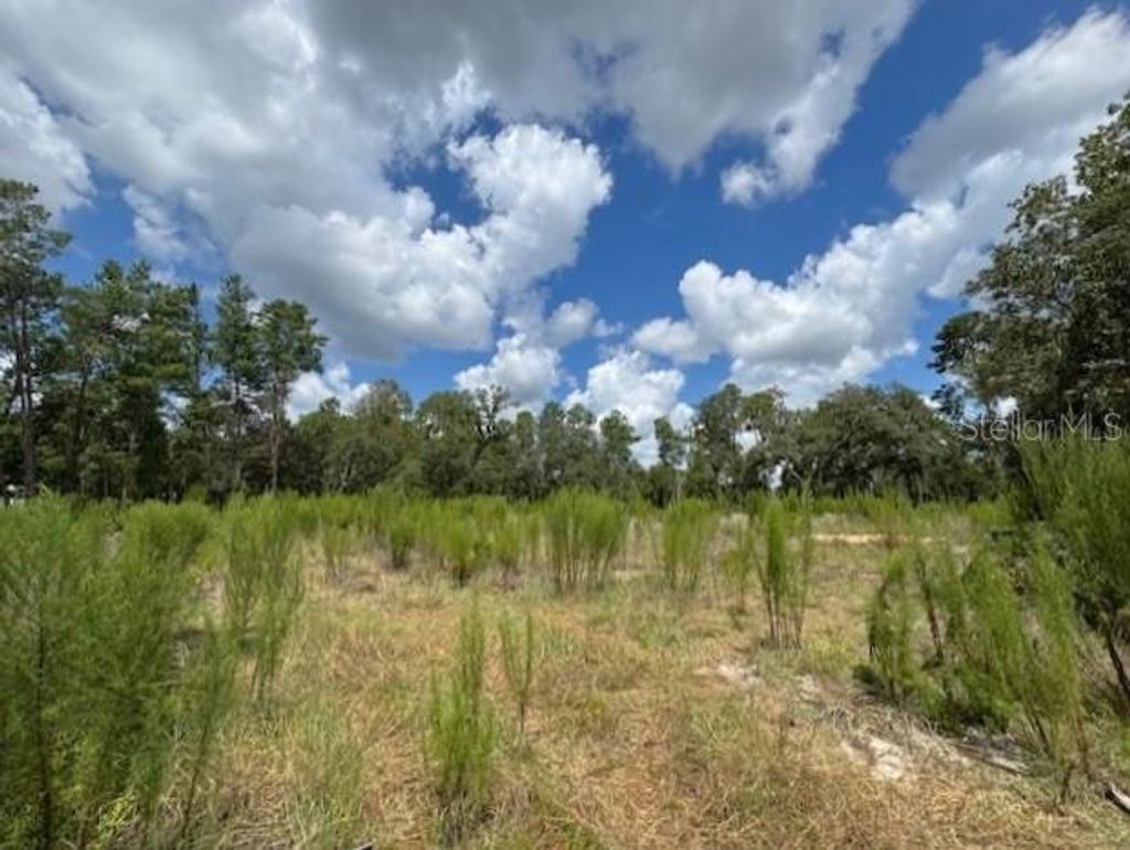 Photo of Tbd SW 109 Loop, Ocala, FL 34476 (MLS # OM707082)