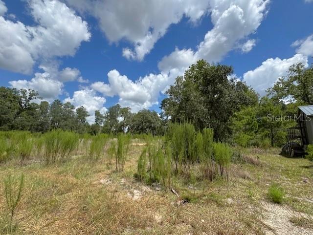 KINGSLAND COUNTRY ESTATE WHISPERING PINES - Land