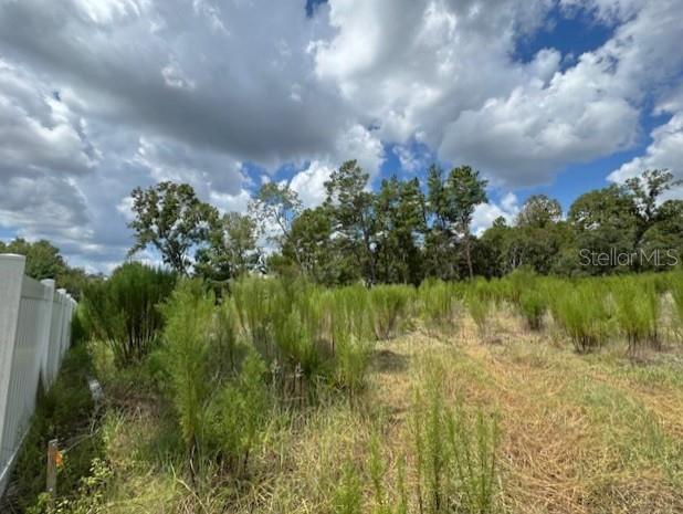 KINGSLAND COUNTRY ESTATE WHISPERING PINES - Land