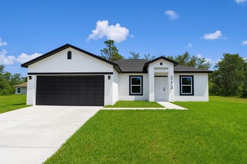 313 BASS COURT KISSIMMEE FL 34759