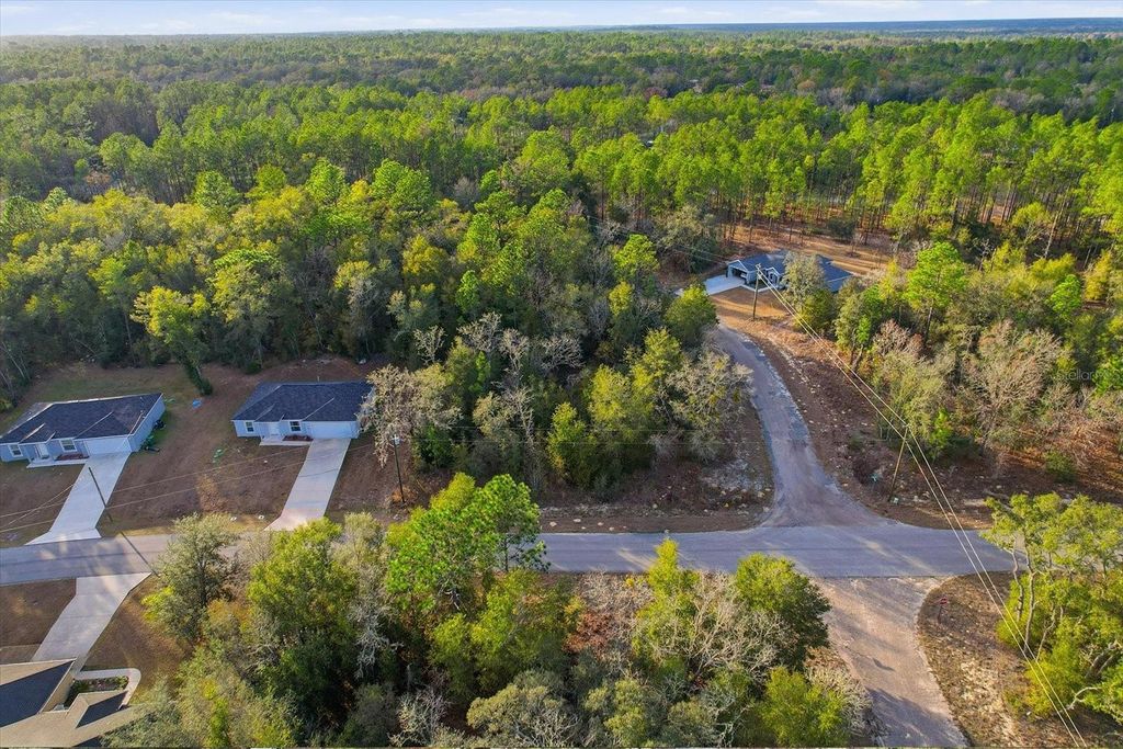 Photo of 10925 N Ocean Drive, Citrus Springs, FL 34434 (MLS # TB8468938)