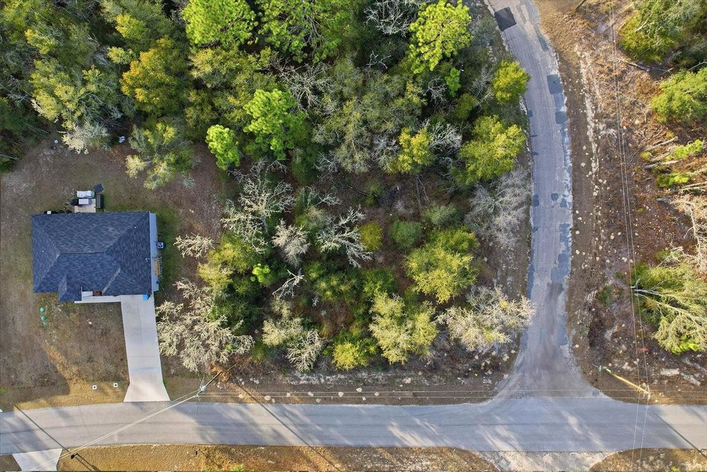 Photo of 10925 N Ocean Drive, Citrus Springs, FL 34434 (MLS # TB8468938)