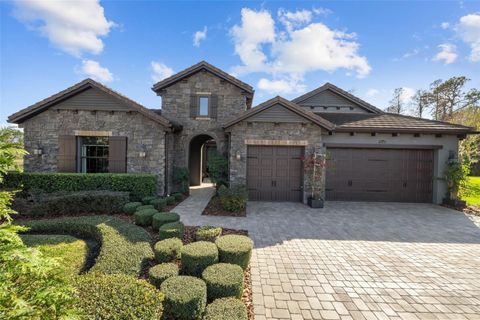 A home in WESLEY CHAPEL