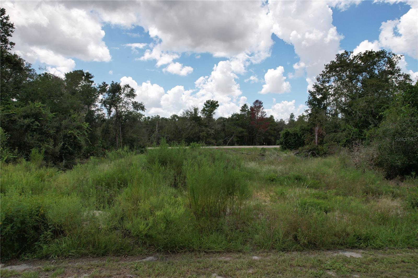 Build the Home You’ve Always Wanted! Imagine designing and building your very own dream home on this beautiful, level lot in the highly sought-after Poinciana community! This spacious parcel is zoned for single-family residential use and is ready for development—making it the perfect canvas for your vision. With ample space to create your own private oasis, you’ll enjoy the freedom to design a home that truly reflects your lifestyle and needs. Surrounded by a growing community of new homes, this lot is a fantastic opportunity to join other forward-thinking builders who see the future of Poinciana. Don’t wait—opportunities like this don’t last! Secure your piece of Poinciana today and start building the home you’ve always dreamed of.