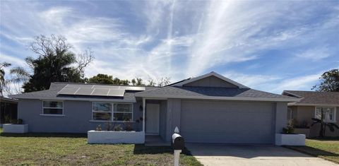 A home in PORT RICHEY