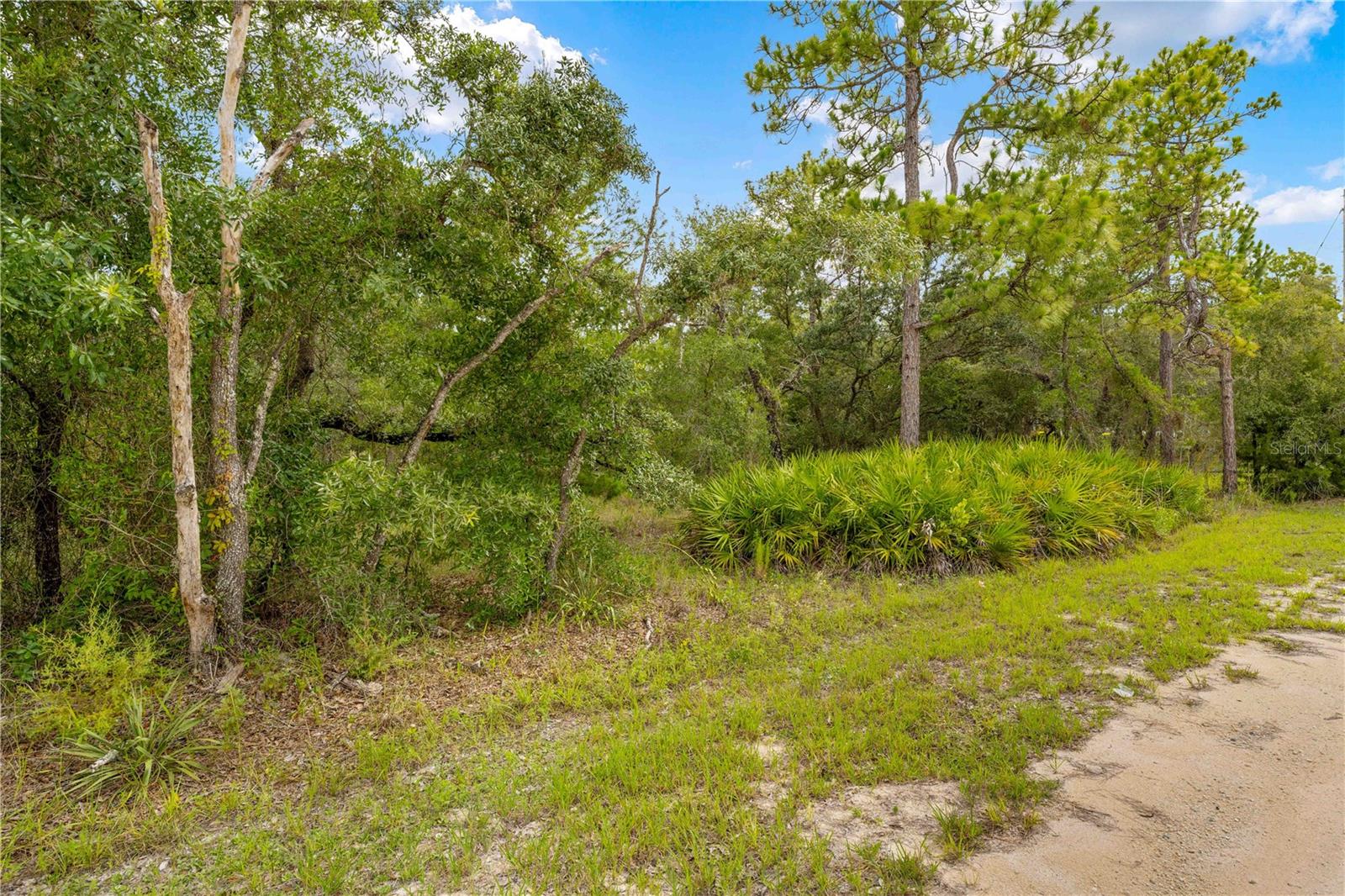 Seller financing is available, making this an excellent opportunity for builders, investors, or future homeowners
Build your dream home on this beautiful wooded parcel in Royal Highlands, offering over an acre of natural Florida landscape. Tucked away on a quiet, low-traffic road, this serene setting provides peace, privacy, and plenty of space to create your ideal retreat. The property has already been surveyed, saving you time and money, and is surrounded by a mix of custom homes and nature. Located in an area with no HOA and no CDD fees, you'll enjoy the freedom to build without restrictions. Convenient access to shopping, schools, and the Suncoast Parkway makes this location both private and practical. Owner financing is available, making it easier than ever to own your piece of paradise!