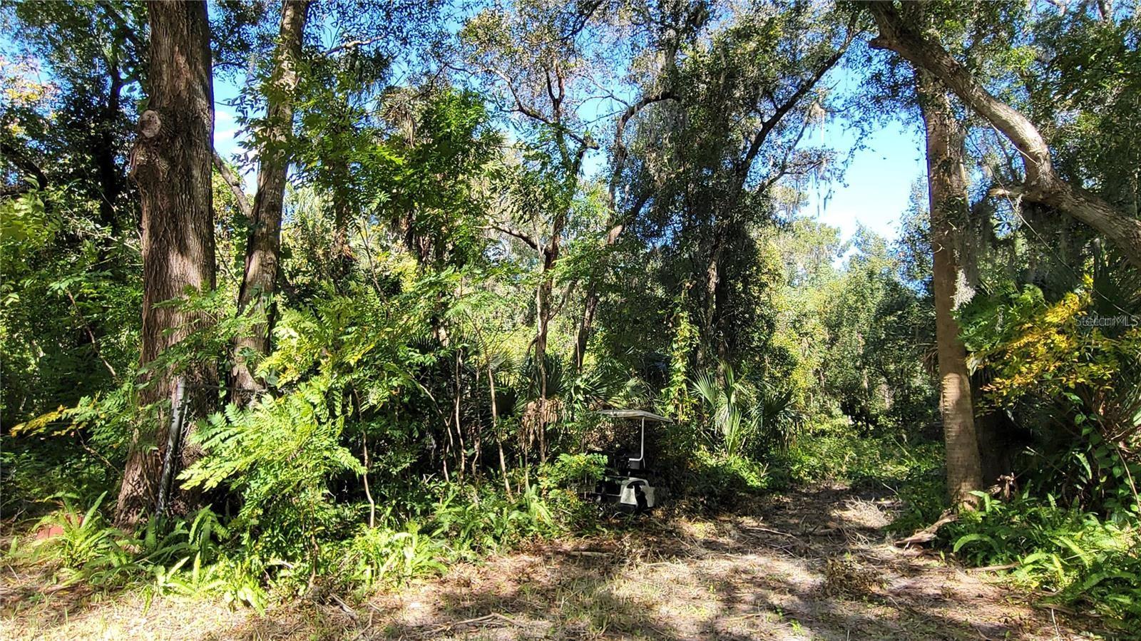 BLUE LAKE ADD/DELAND - Land