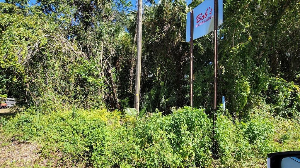 Photo of Lakeview St, Deland, FL 32724 (MLS # V4946495)